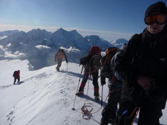 Bishorn 12