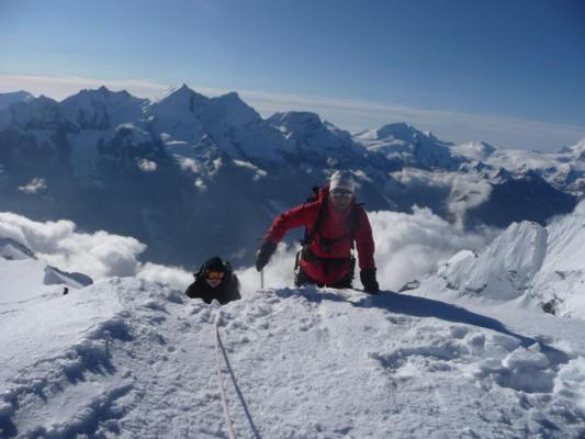 Bishorn 14