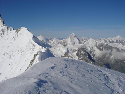 Bishorn 4
