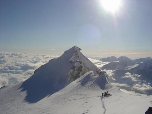 Bishorn 5