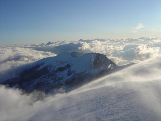 Bishorn 6