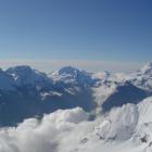 Bishorn 7
