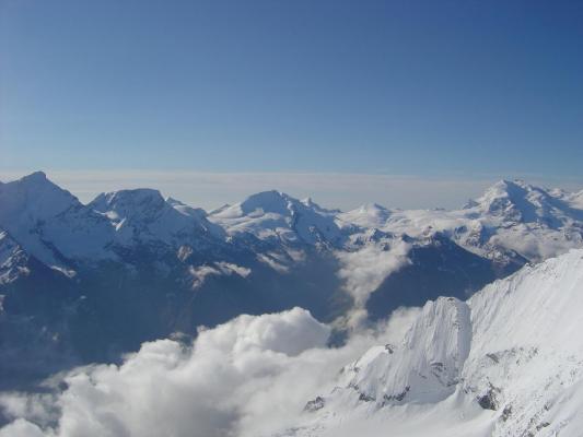 Bishorn 7