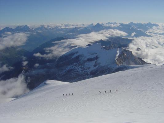 Bishorn 8