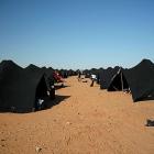 Marathon des Sables 2013