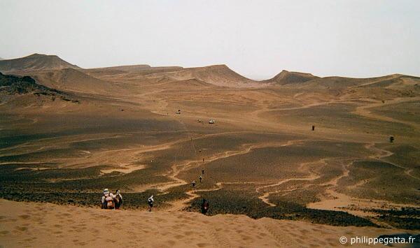 MDS14
