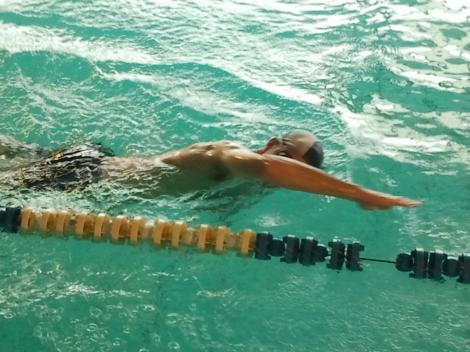 Natation